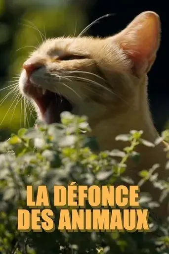 la-defonce-des-animaux-2025