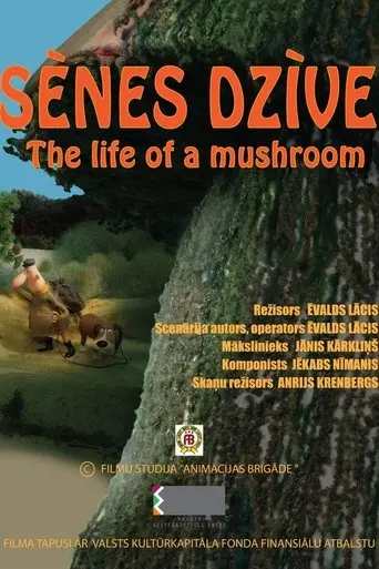 the-life-of-a-mushroom-2024