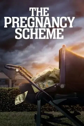 the-pregnancy-scheme-2023