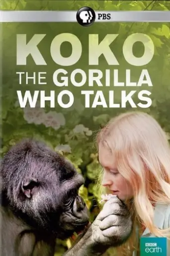 koko-the-gorilla-who-talks-to-people-2016