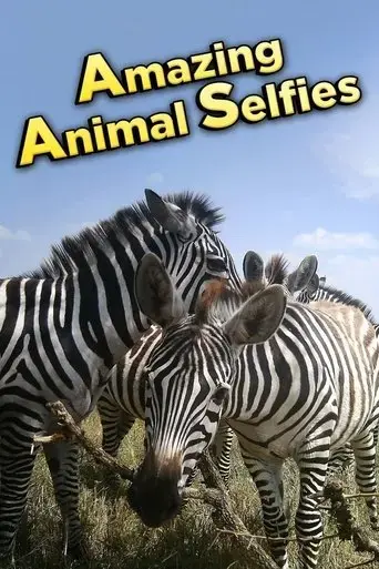 amazing-animal-selfies-2016