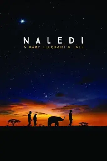 naledi-a-baby-elephant-s-tale-2016