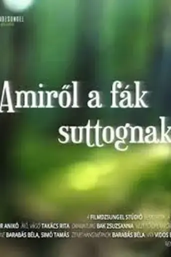 amirol-a-fak-suttognak-2021