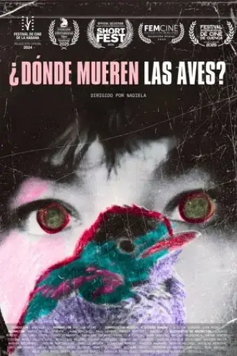 where-do-birds-die-2024