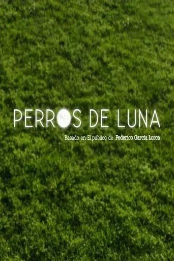 perros-de-luna-2017
