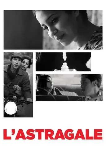 astragal-2015