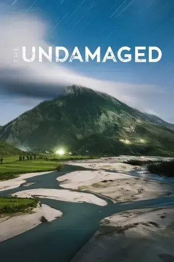 the-undamaged-2018