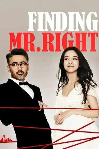 finding-mr-right-2013