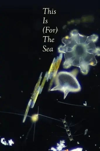 this-is-for-the-sea-2025