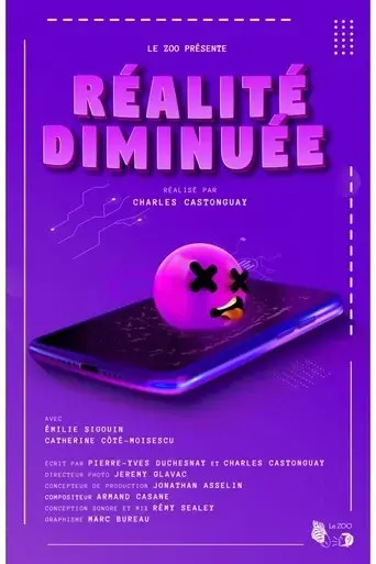 diminished-reality-2024