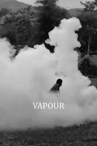 vapour-2015