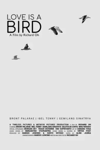 love-is-a-bird-2019