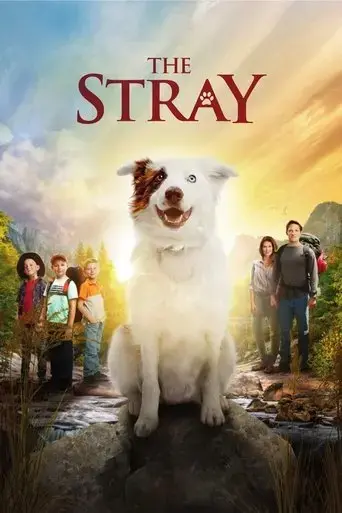 the-stray-2017