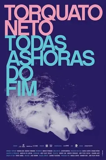 torquato-neto-todas-as-horas-do-fim-2017