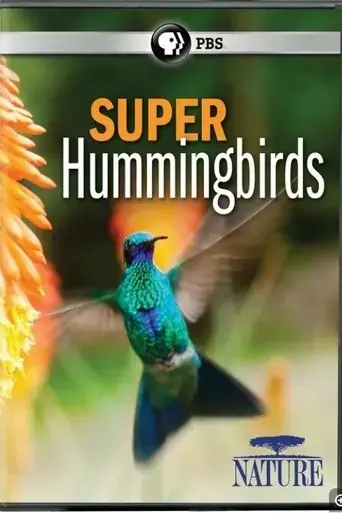 super-hummingbirds-2016