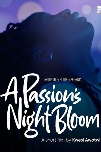 a-passion-s-night-bloom-2025