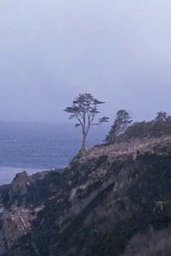 the-tree-2022
