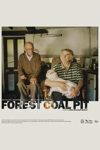 forest-coal-pit-2022