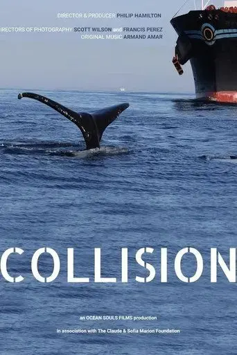 collision-2023