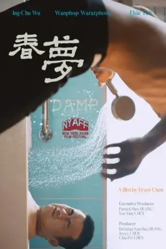 damp-2025