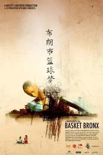 basket-bronx-2009