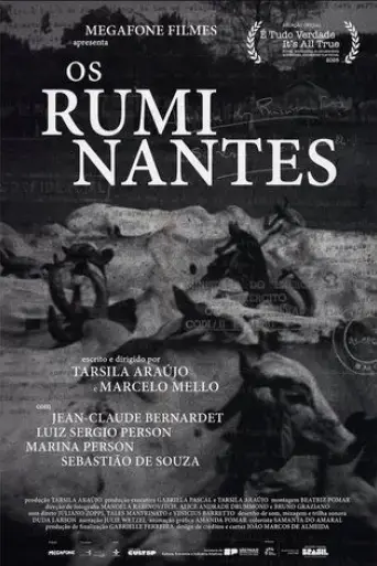 os-ruminantes-2025