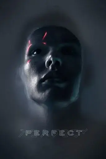 perfect-2019