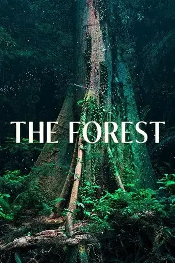 the-forest-2024