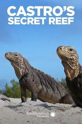 castro-s-secret-reef-2016