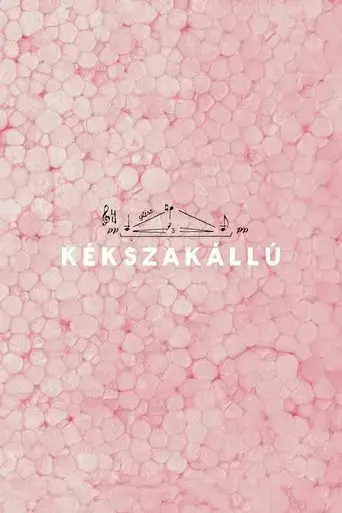 kekszakallu-2016