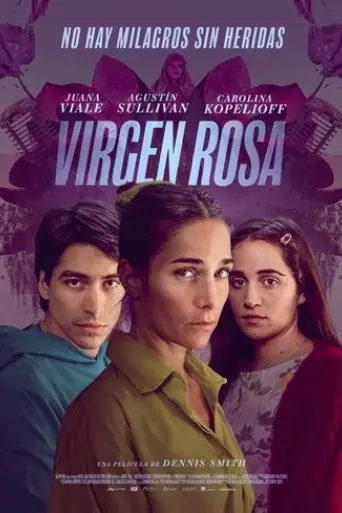 virgen-rosa-2024