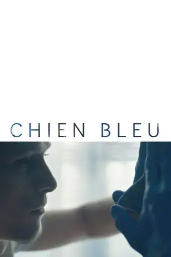 blue-dog-2018