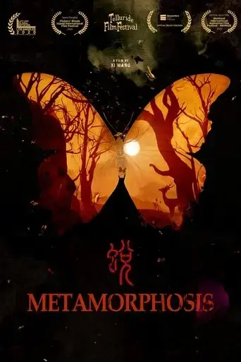 metamorphosis-2020