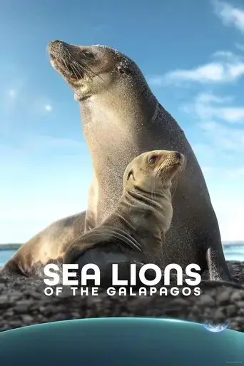sea-lions-of-the-galapagos-2025