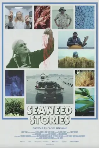 seaweed-stories-2024