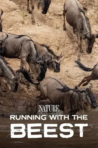 running-with-the-beest-2022