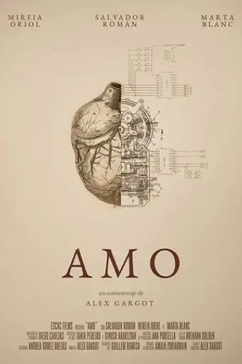 amo-2016