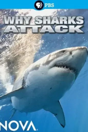 why-sharks-attack-2014