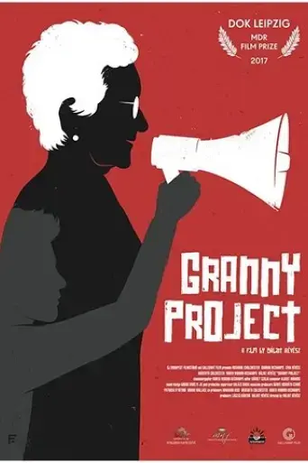 granny-project-2017