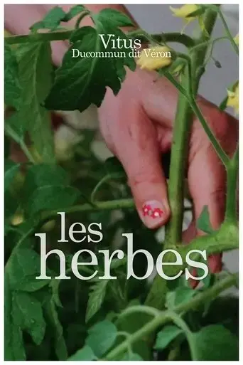 les-herbes-sauvages-de-qingdao-2025