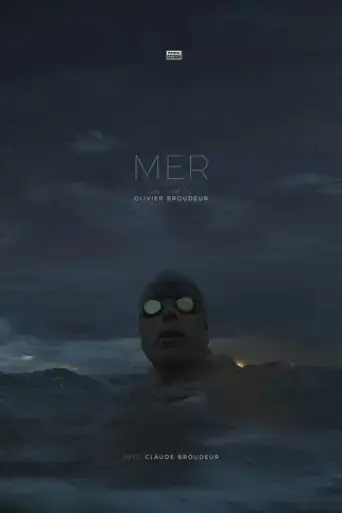 mer-2017