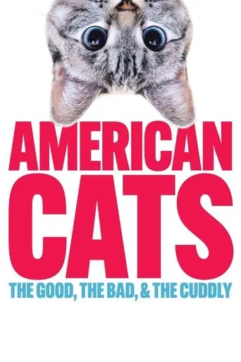 american-cats-the-good-the-bad-and-the-cuddly-2024