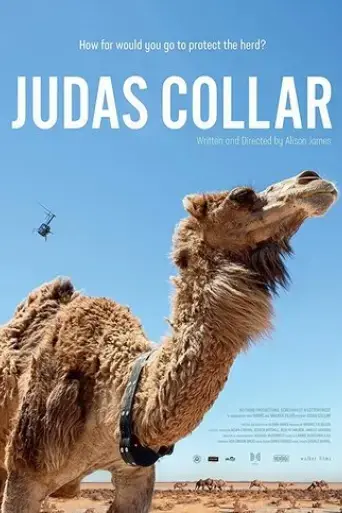 judas-collar-2018