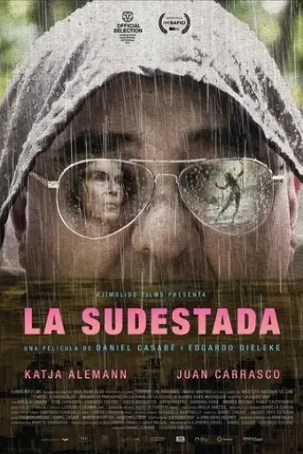 la-sudestada-2024