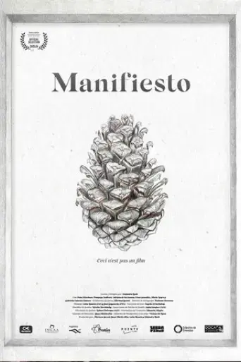 manifiesto-2019