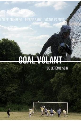 goal-volant-2016
