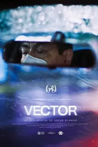 vector-2024