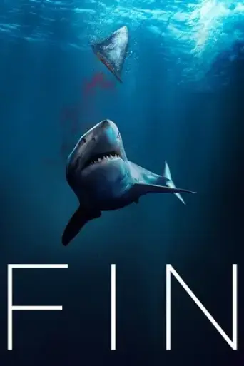 fin-2021