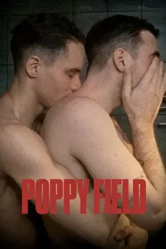 poppy-field-2022