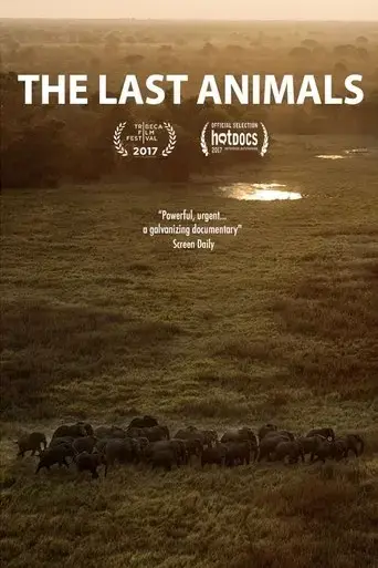 the-last-animals-2017